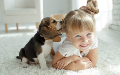Pet Dander & Dust: Why Regular Carpet Cleaning Protects Health