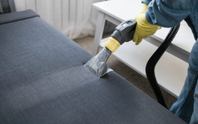 Why Clean Sofas Matter More for Family Health Than You Think