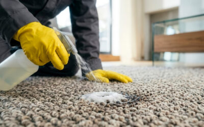 How to Remove Old Carpet Stains: When to Call a Pro in York Region